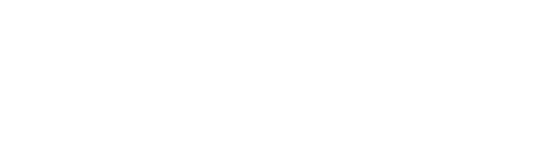 2024 Angebot:  Scheibentönung alle Fahrzeuge 20% weniger