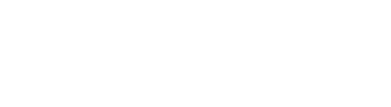 Januar 2026 Angebot:  Scheibentönung alle Fahrzeuge 20% weniger